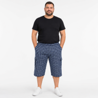 Бриджі чоловічі Sport великі розміри 2XL-6XL карго в клітку, Синій з блакитним, 5XL