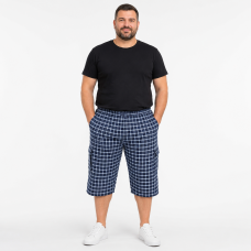 Бриджі чоловічі Sport великі розміри 2XL-6XL карго в клітку, Синій з блакитним, 5XL