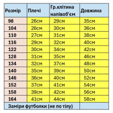 Вишиванка для хлопчика Kosar футболка з коротким рукавом бавовна 2-16 років, 98, Чорний з бірюзовим