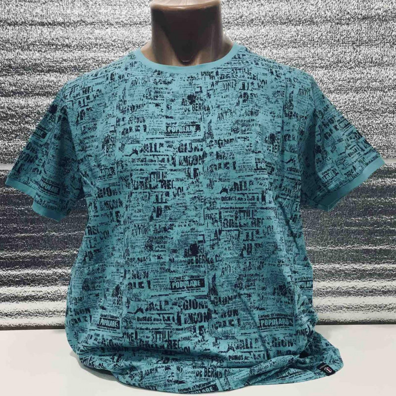 Футболка мужская Red-Down  L-XXXL , XL,  Мята