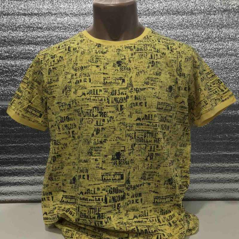 Футболка мужская Red-Down  L-XXXL , XXXL,  Оранжевый