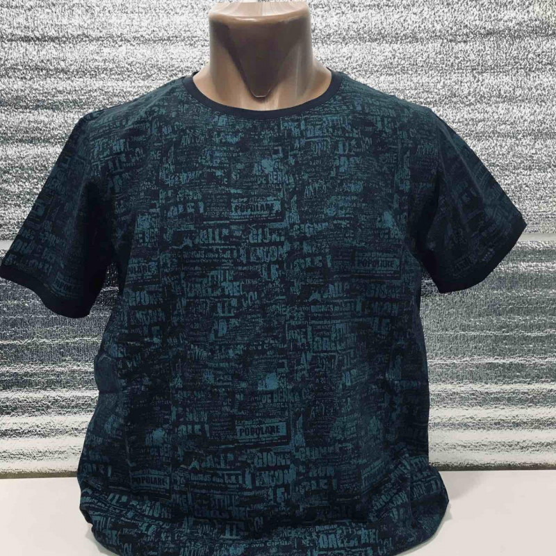 Футболка мужская Red-Down  L-XXXL , L,  Голубой