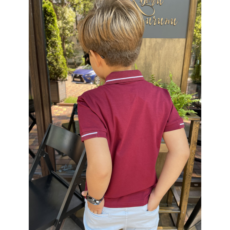 Футболка поло Blueland для мальчика 5-9 лет арт.1504, Размер детской одежды (по росту) 116, Цвет Голубой