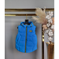 Жилет JPLT теплая для мальчика 3-7 лет , 98, Голубой