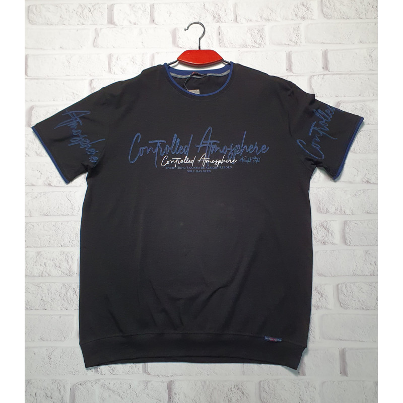 Футболка Red-Down мужская большого размера 2XL-5XL , 4XL,  Бордовый