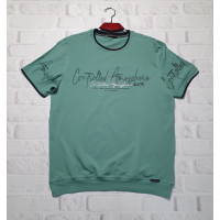Футболка Red-Down мужская большого размера 2XL-5XL , XXXL,  Мята