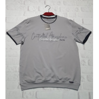 Футболка Red-Down мужская большого размера 2XL-5XL , 4XL,  Серый