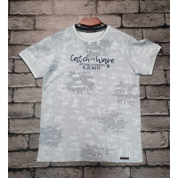 Футболка Red-Down мужская   L-XXXL