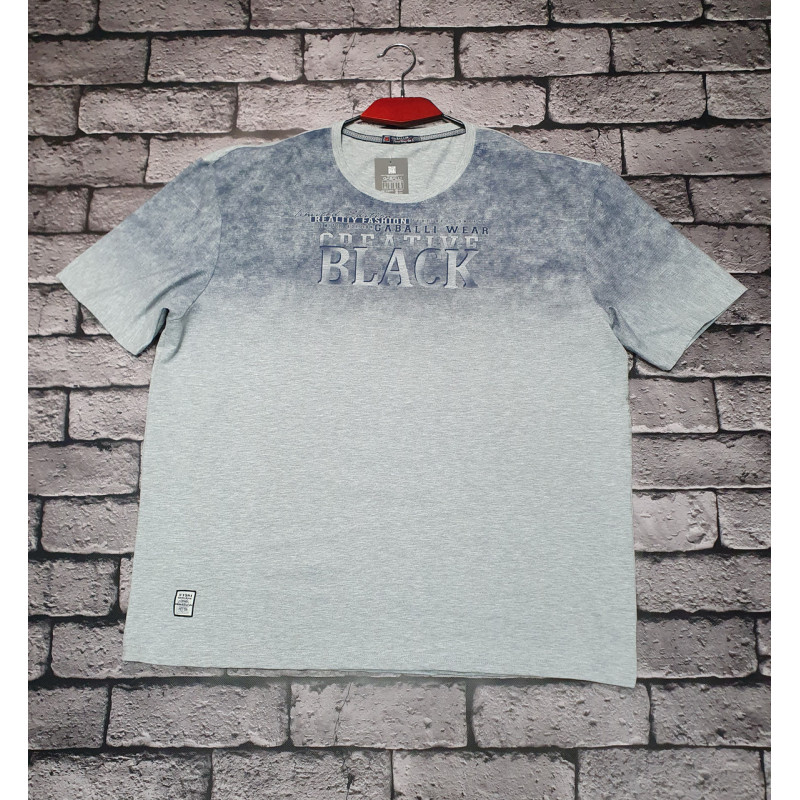 Футболка мужская большого размера Red Down 6XL-9XL