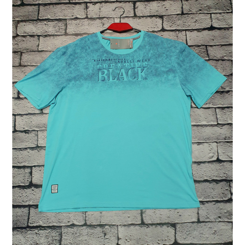 Футболка мужская большого размера Red Down 6XL-9XL