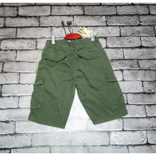 Шорты мужские Iteno(Lionesa) коттон