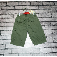 Шорты мужские Iteno(Lionesa) коттон