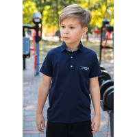 Футболка поло Blueland для мальчика 5-9 лет , 116, Темно-синий