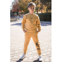 Костюм теплый Poyraz для мальчика 3-10 лет прогулочный , 134-140, Цвет Горчичный