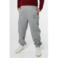 Спортивные штаны Alder для мальчика 8-15 лет теплые , Серый, 134