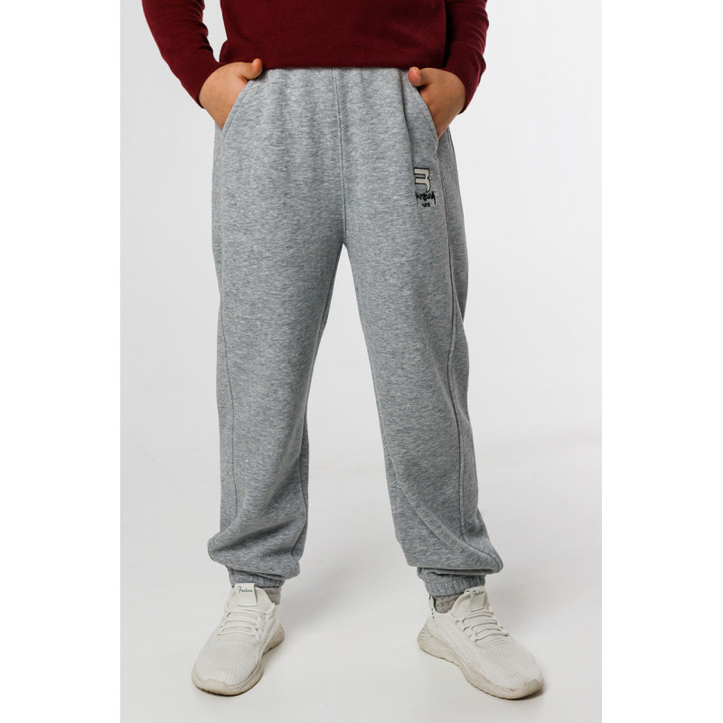 Спортивные штаны для мальчика 11-18 лет Alder теплые , Серый, 146