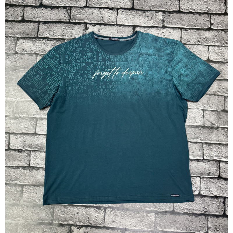 Футболка мужская  Red Down большого размера 6XL-9XL , 9XL,Изумрудный