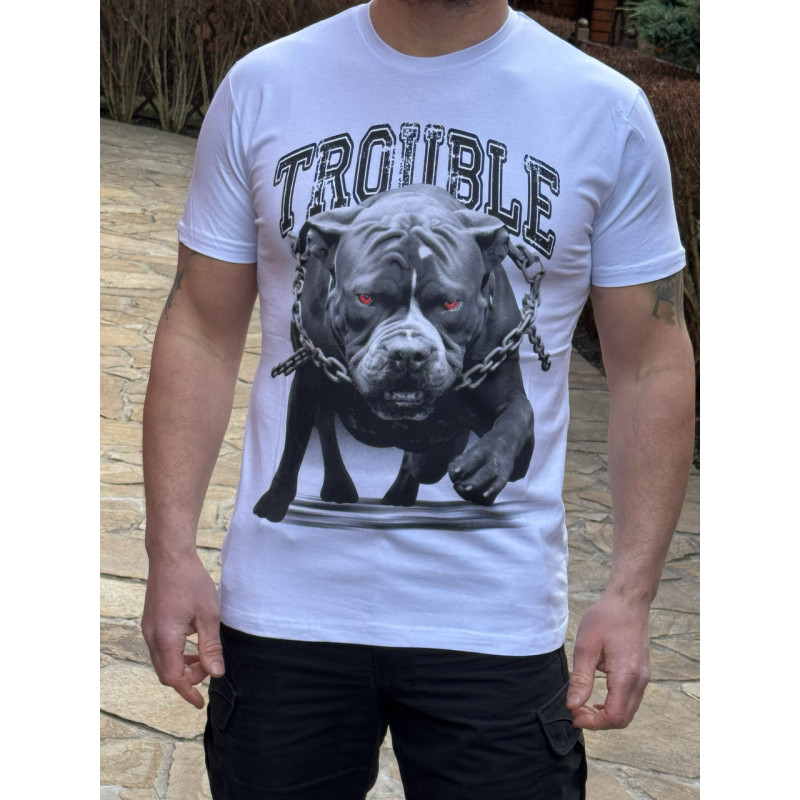 Футболка мужская Daniel Jones Trouble принт собака, XXL,Зеленый