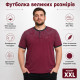Футболка мужская Red Down большого размера 6XL-9XL хлопок эластан на трех пуговицах,7XL,Бордовый