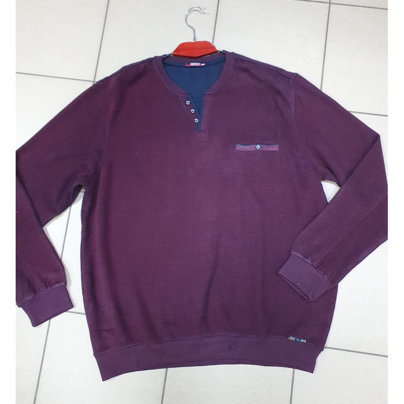 Світшот теплий великого розміру Red Down хамелеон, Синій, 7XL