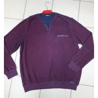 Світшот теплий великого розміру Red Down хамелеон, Бордовий, 8XL