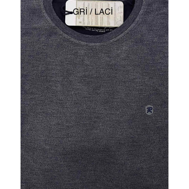 Свитшот теплый RED DOWN хамелеон L-XXXL арт.585, Графит, L