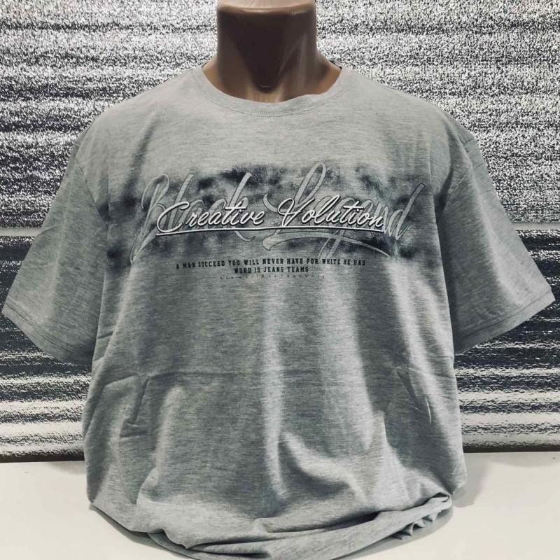 Футболка мужская большого размера KAMENI 2XL-5XL , 5XL,Белый